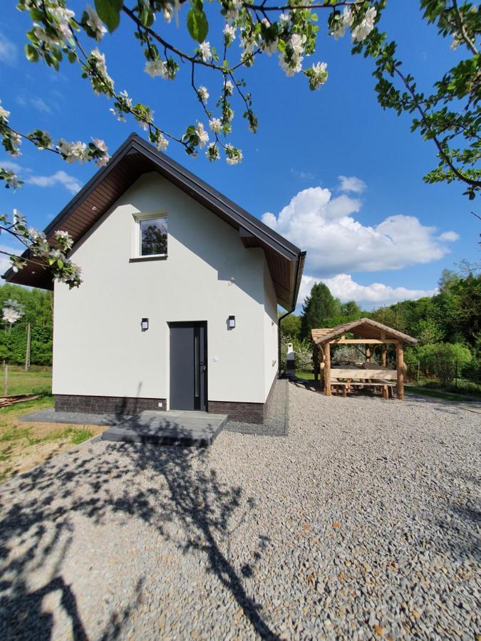 Tetmajera View & Garden * Debica (Podkarpackie)