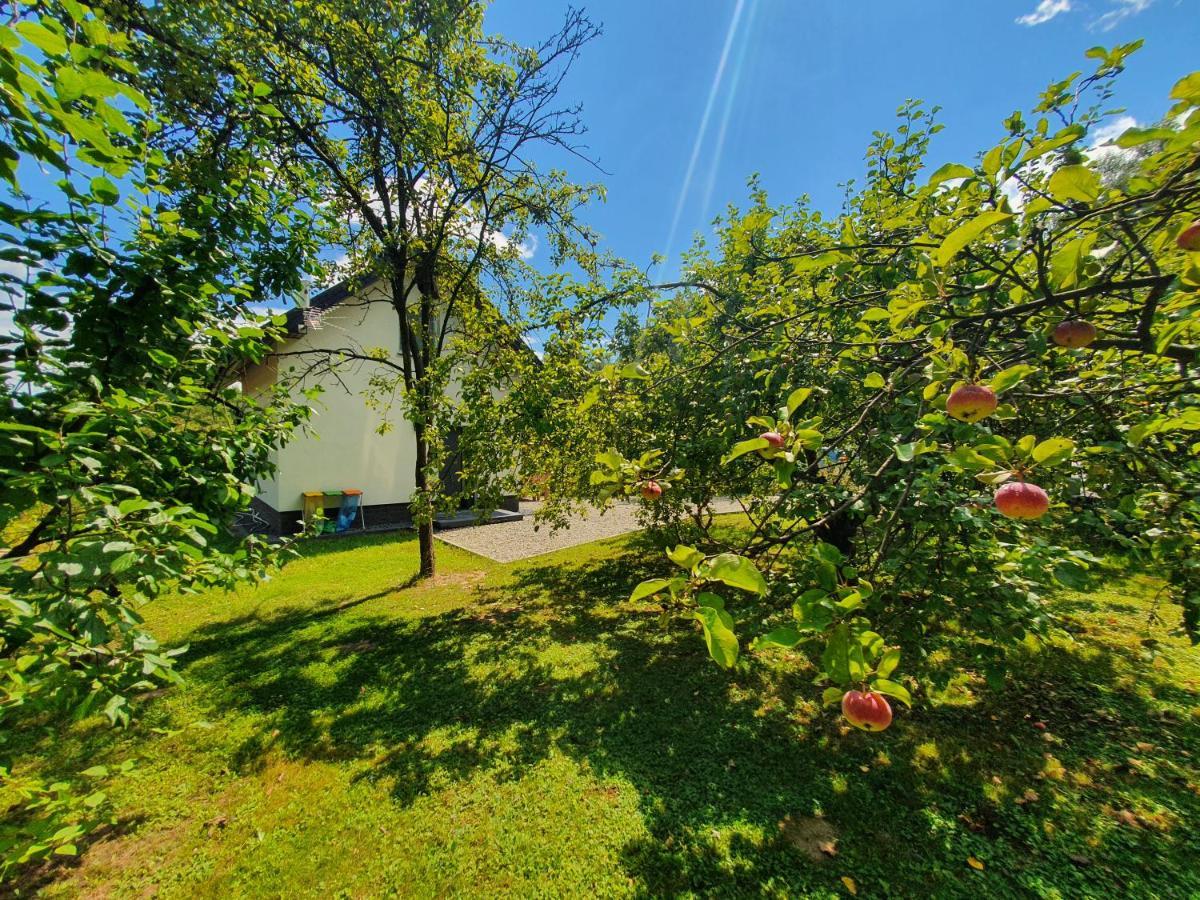 Holiday home Tetmajera View & Garden Debica (Podkarpackie)