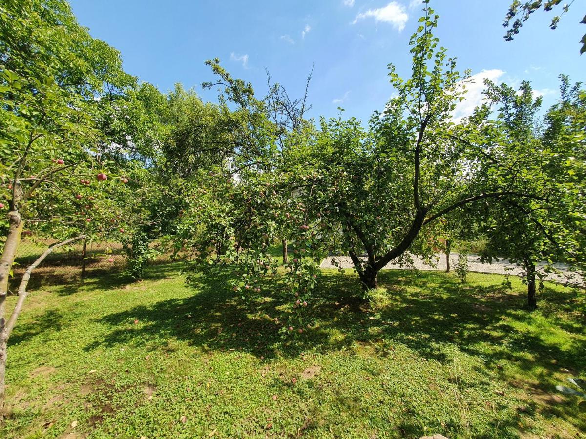 Holiday home Tetmajera View & Garden *