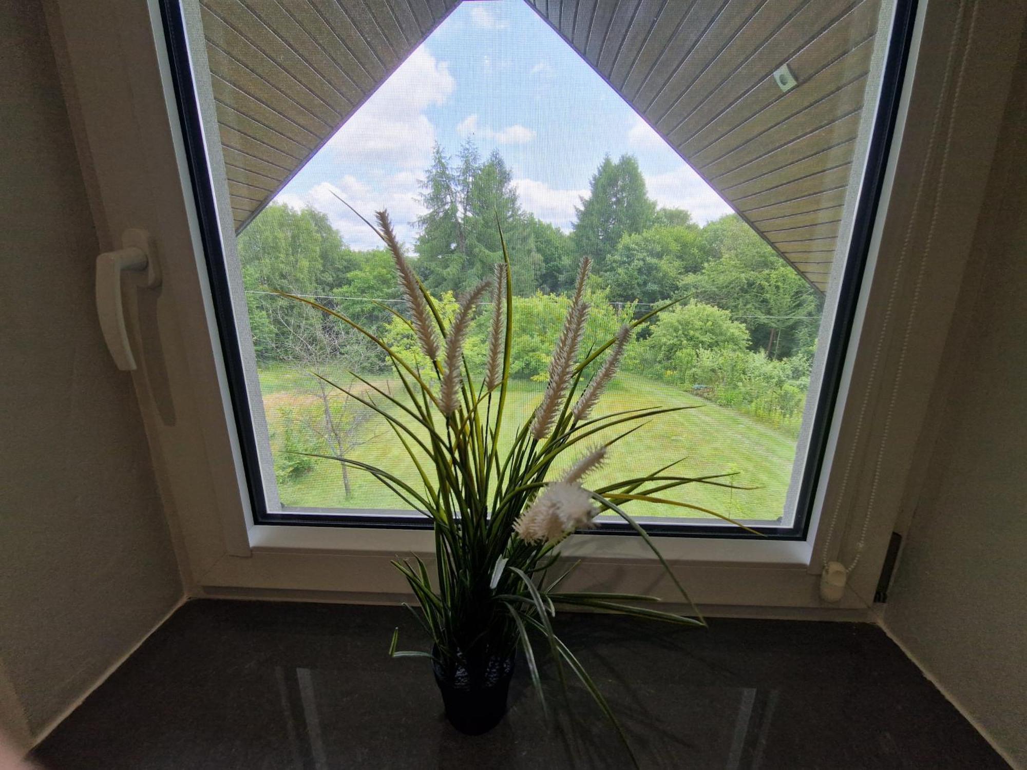 Будинок відпочинку Tetmajera View & Garden *